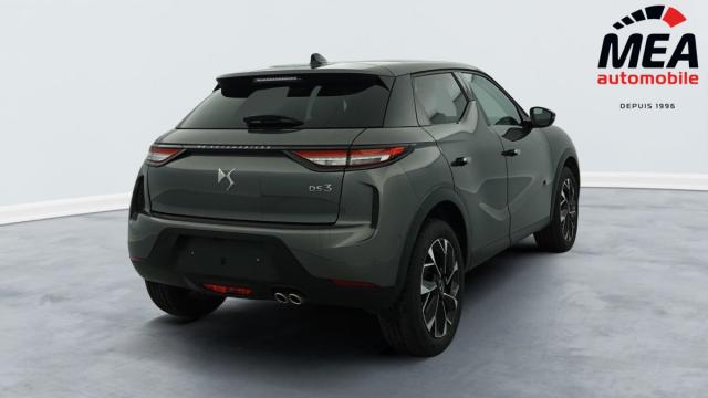 Ds Ds 3 image 4