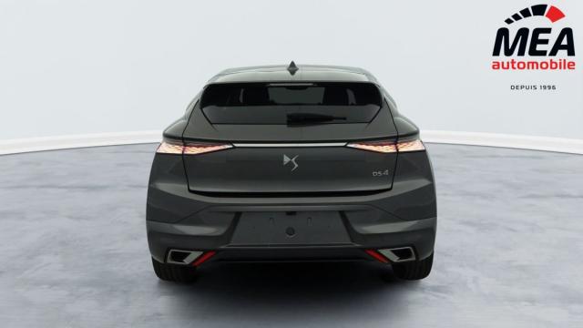 Ds Ds 4 image 7