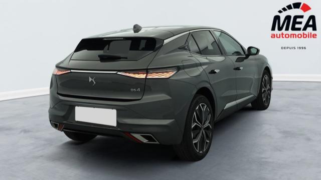 Ds Ds 4 image 8