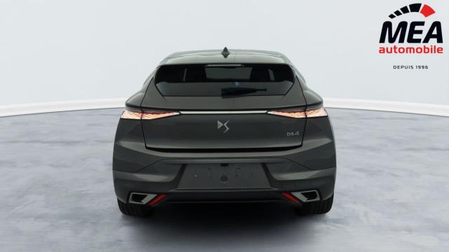 Ds Ds 4 image 7