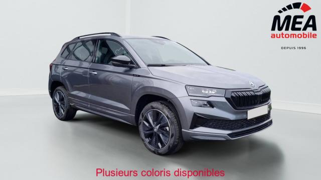 Skoda Karoq image 9