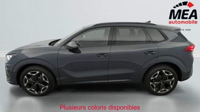 Cupra Terramar image 1