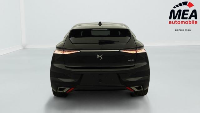 Ds Ds 4 image 9