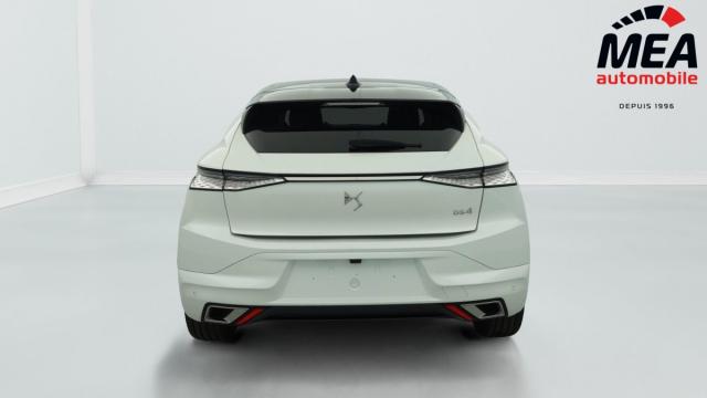 Ds Ds 4 image 4