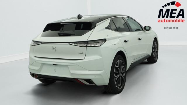 Ds Ds 4 image 8