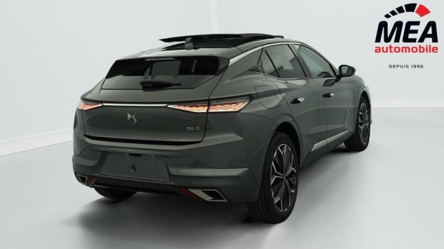Ds Ds 4 image 8