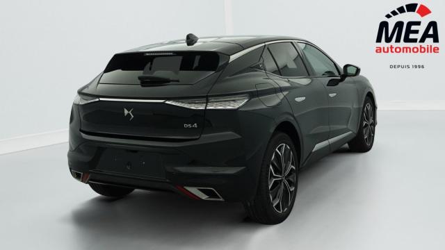Ds Ds 4 image 6