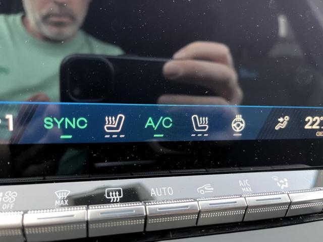 Renault Austral image 2