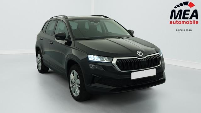 Skoda Karoq 2.0 Tdi 116 Ch Scr Dsg7 Business