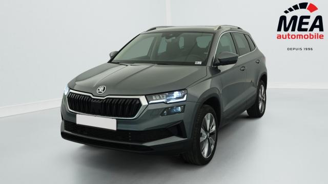 Skoda Karoq image 1