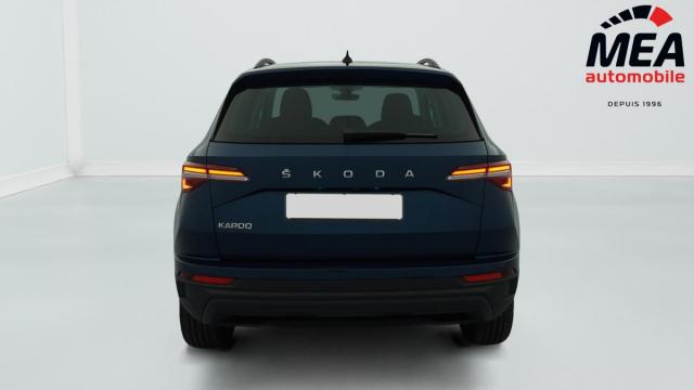Skoda Karoq image 1