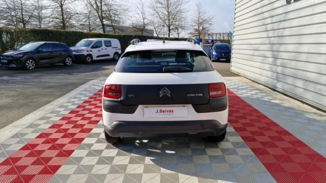 Citroen C4 Cactus image 9