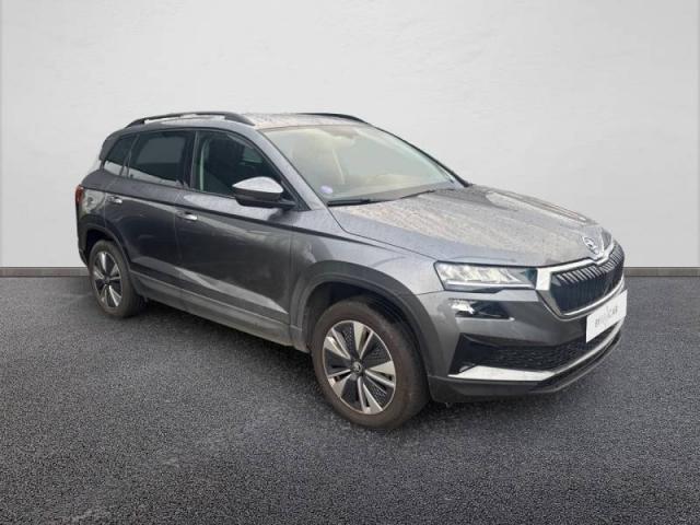 Skoda Karoq image 2