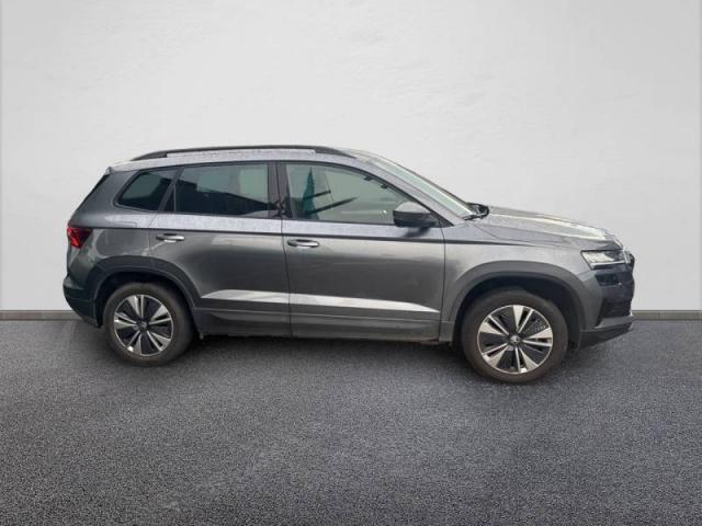 Skoda Karoq image 1