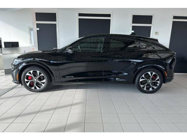 Ford Mustang image 8