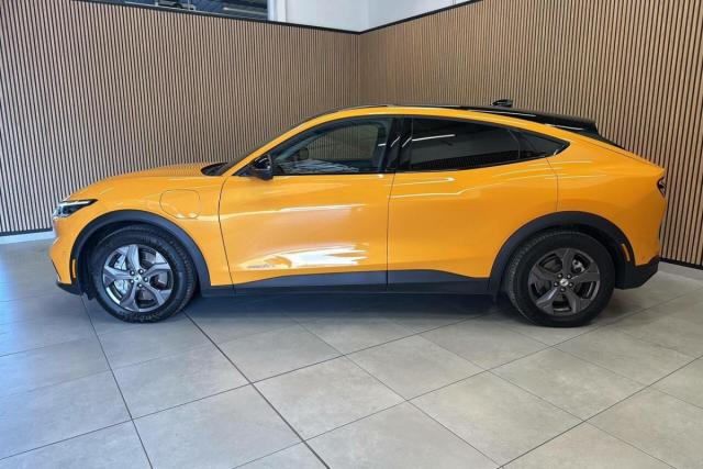 Ford Mustang image 9