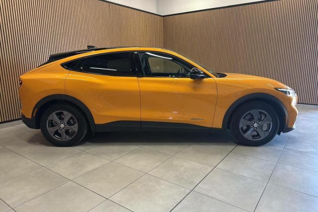 Ford Mustang image 6