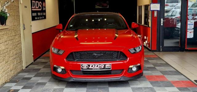 Ford Mustang image 1
