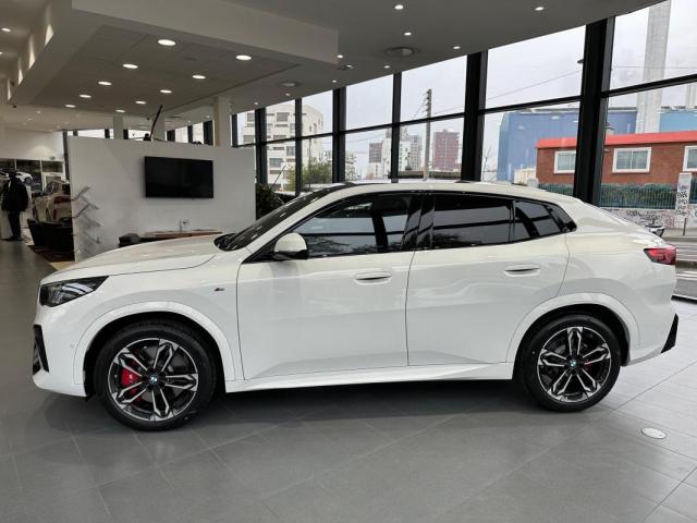 Bmw X2 image 1