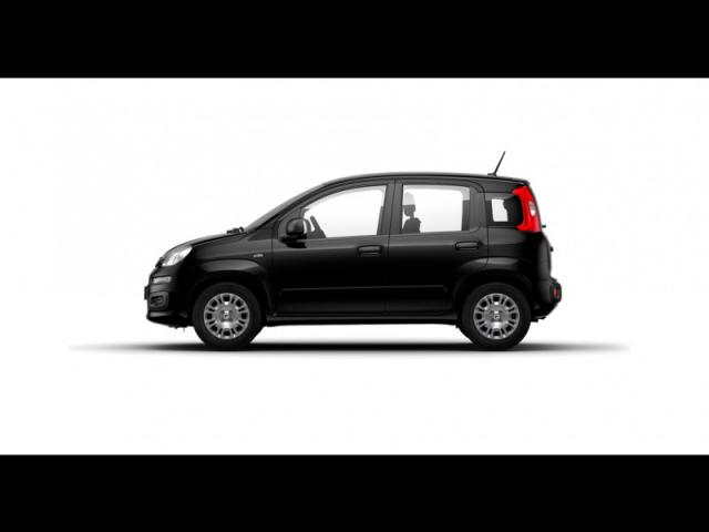 Fiat Panda image 1