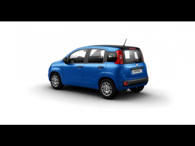 Fiat Panda image 2