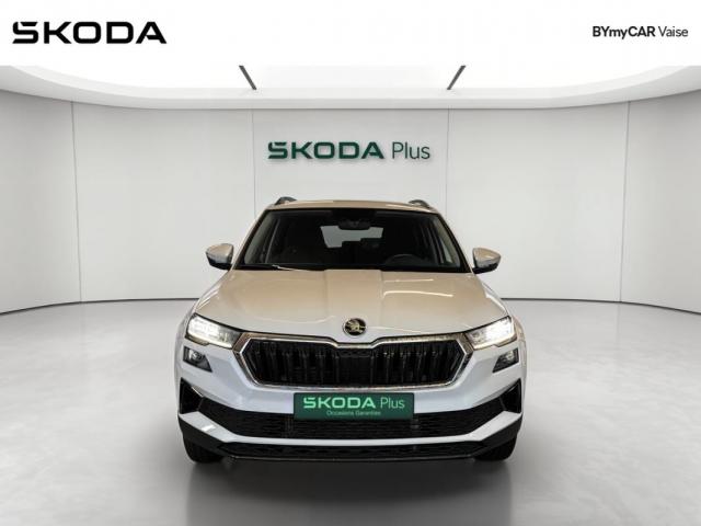 Skoda Karoq image 1
