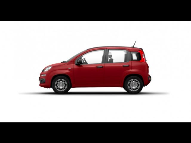 Fiat Panda image 2