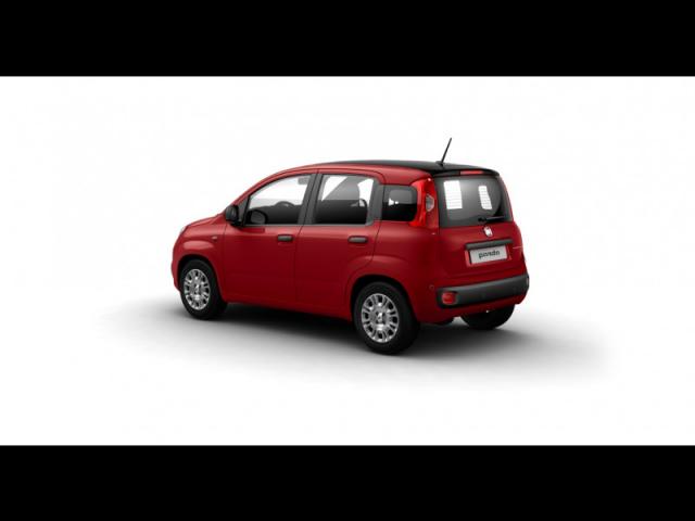 Fiat Panda image 1
