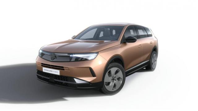 Opel Grandland 1.2 Turbo Hybrid 145 Ch E-Dct6 Gs