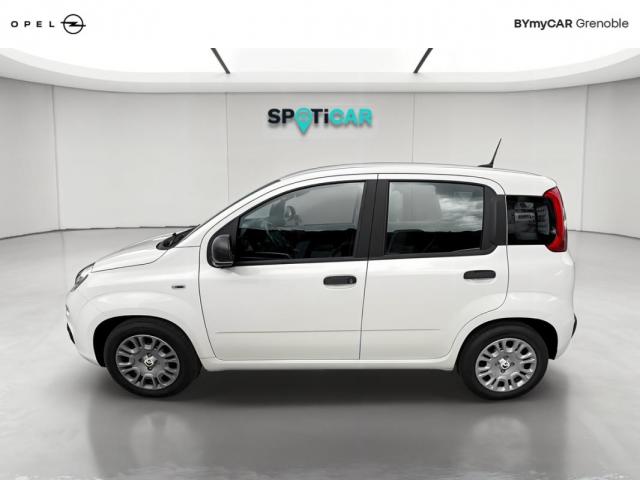 Fiat Panda image 1