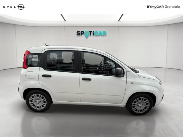 Fiat Panda image 2