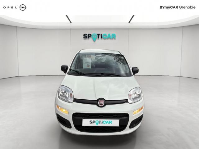 Fiat Panda image 3