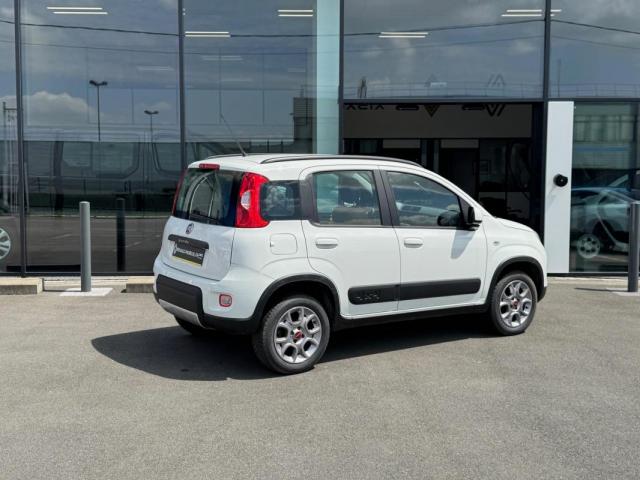 Fiat Panda 4x4 image 4