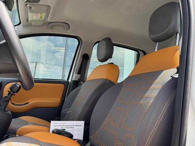 Fiat Panda 4x4 image 1