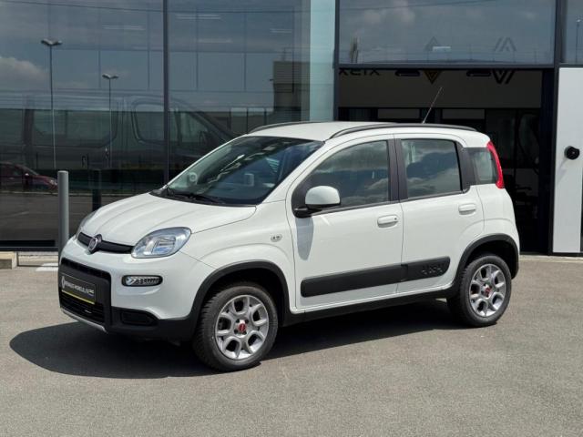 Fiat Panda 4x4 image 2