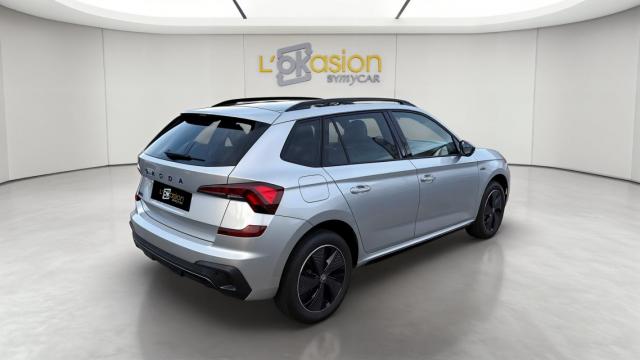 Skoda Kamiq image 2