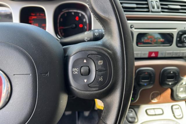 Fiat Panda 4x4 image 9
