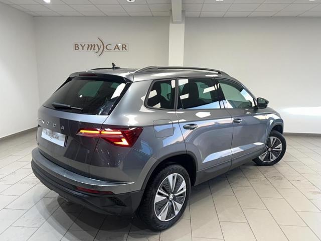 Skoda Karoq image 1