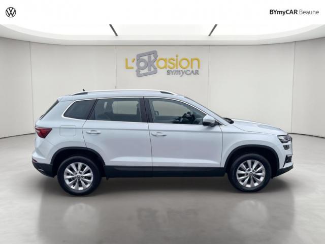 Skoda Karoq image 1