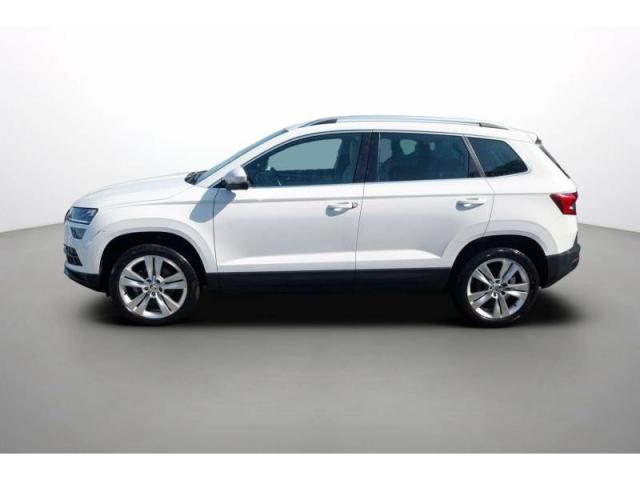 Skoda Karoq image 1