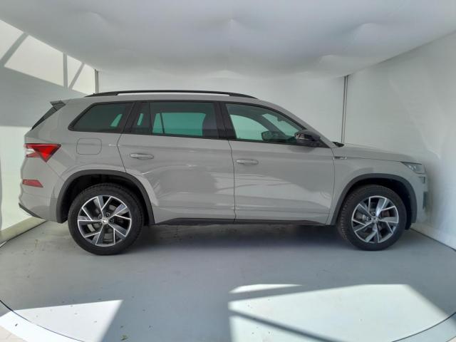 Skoda Kodiaq image 1