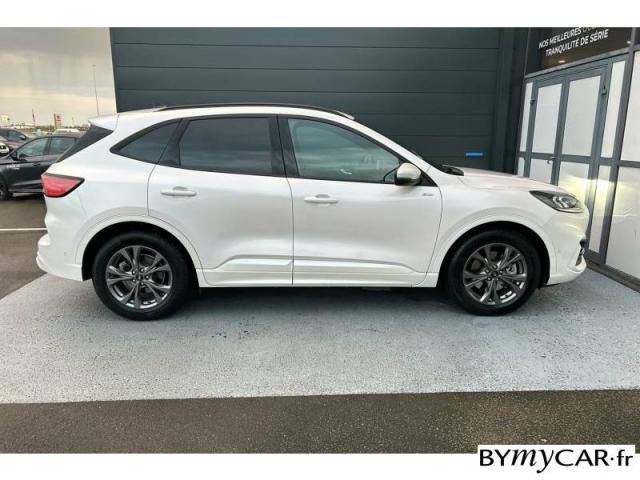 Ford Kuga image 4