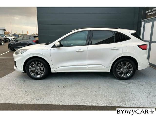 Ford Kuga image 6