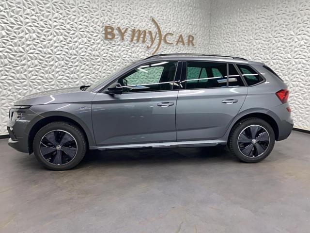 Skoda Kamiq image 2