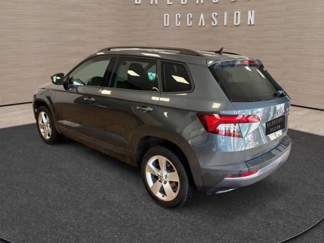 Skoda Karoq image 1