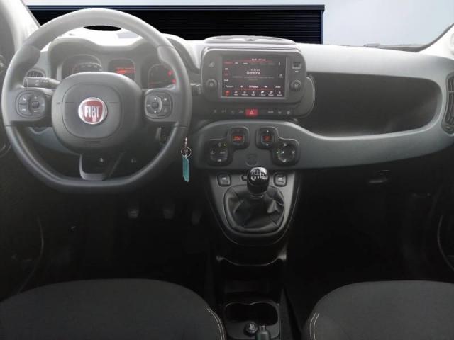 Fiat Panda image 9