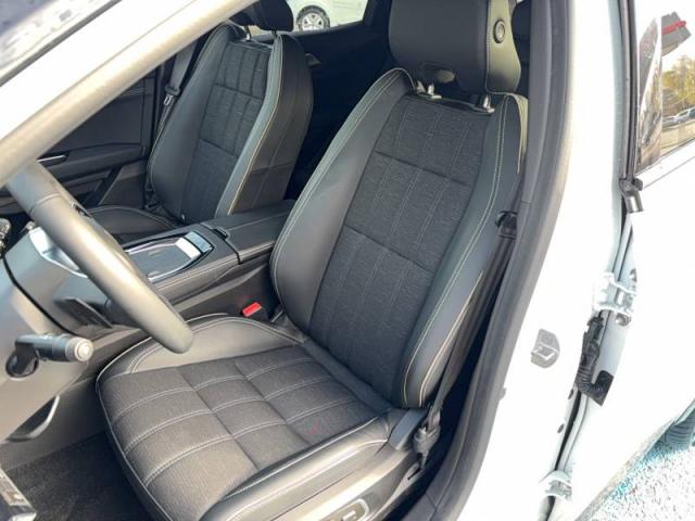 Renault Austral image 1