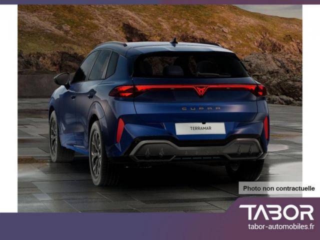 Cupra Terramar image 9