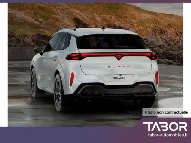Cupra Terramar image 6