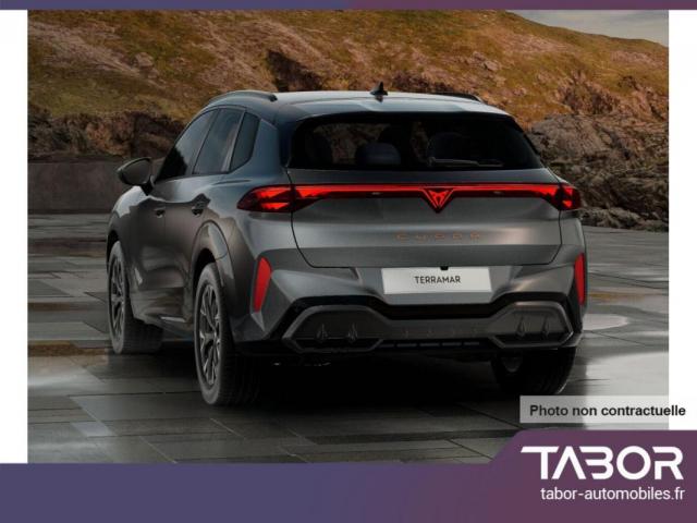 Cupra Terramar image 9